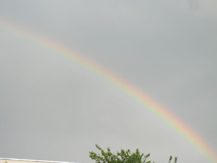 Rainbow. Curcubeu (2015, May 03) - RAINBOW_Curcubeu