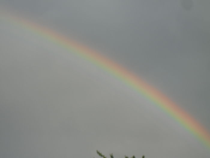 Rainbow. Curcubeu (2015, May 03)