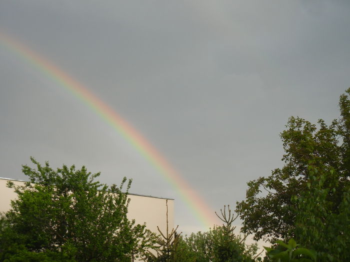 Rainbow. Curcubeu (2015, May 03)