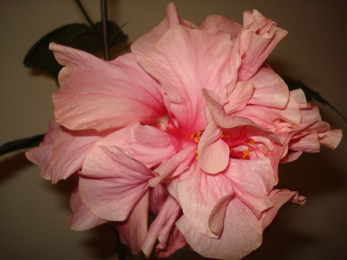 DSC02012