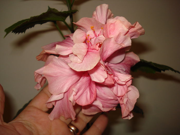 DSC02013