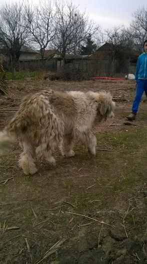 WP_20150314_014