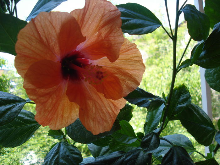 DSC02056