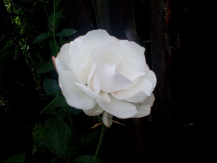 1435076863518730010354