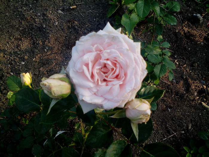 1435079420104-1728828240