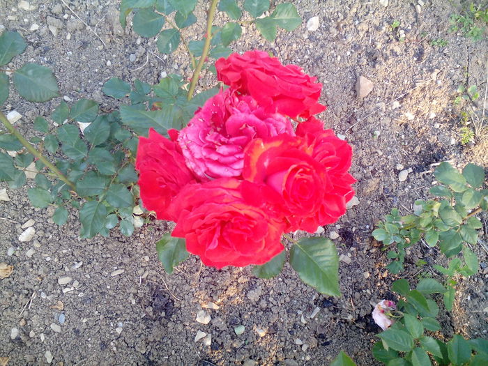 1435079805554-585775677