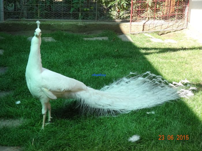 DSC01742