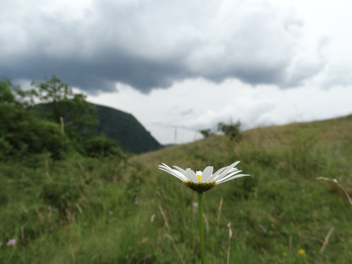 DSC01920