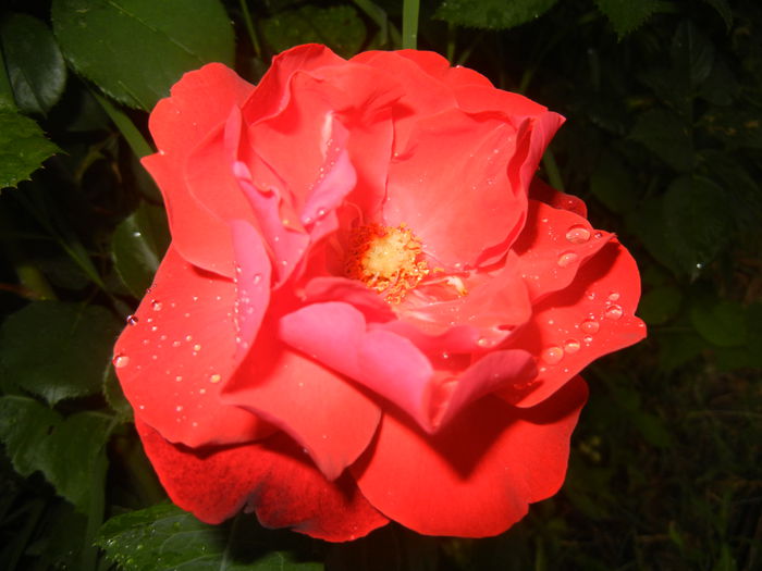 2015, May 25