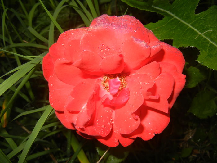 2015, May 25