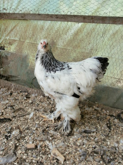 P6230253
