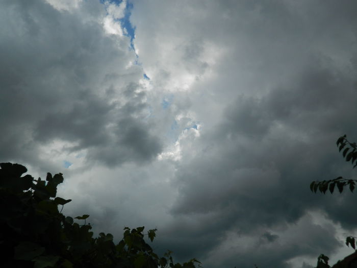 DSCN1342