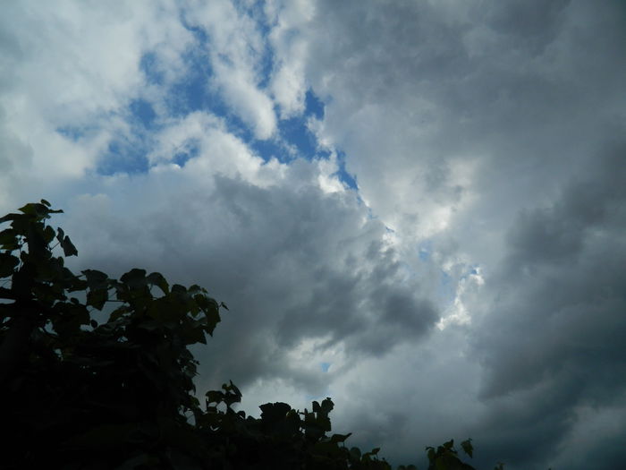 DSCN1343