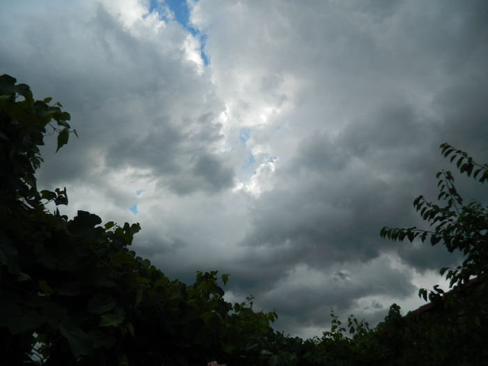 DSCN1346