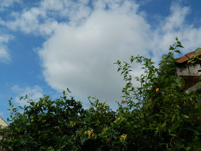 DSCN1393