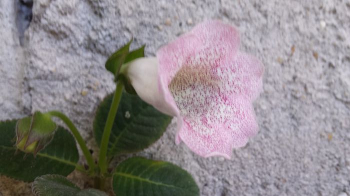 20150624_170251