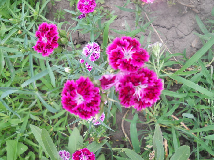 DSCN8034