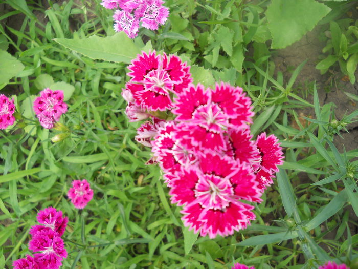 DSCN8035