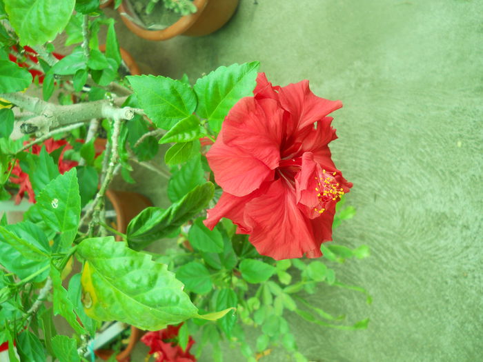 DSCN8052