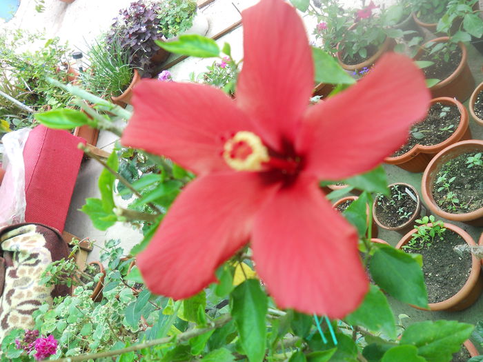 DSCN8057