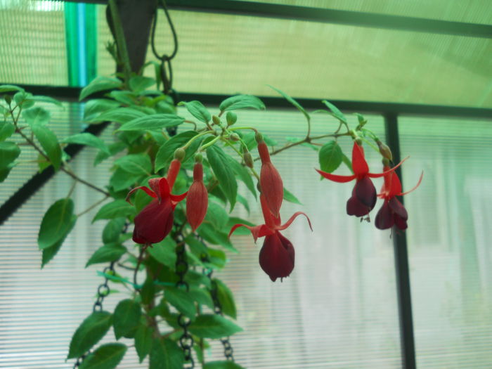 DSCN8014