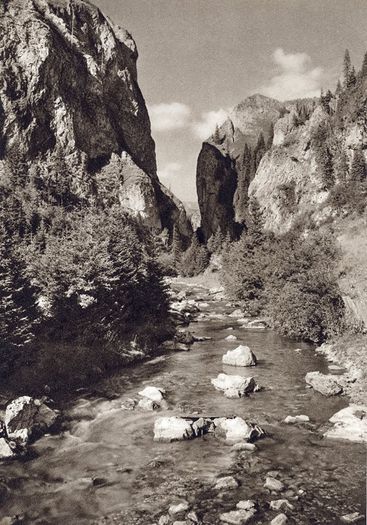 10644880_947979228556009_3612297587228431241_n - Traditii romanesti