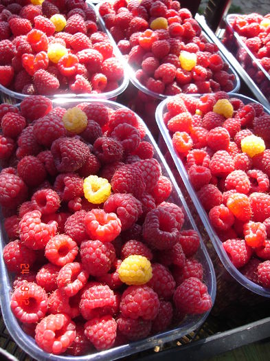 Pregătită de livrare; 24 iun 2015 001
