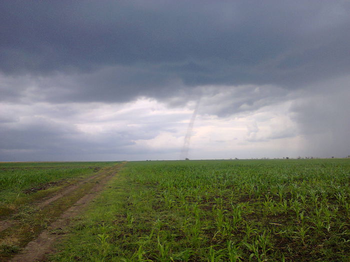 Fotografie0176 - tornada de la buzau