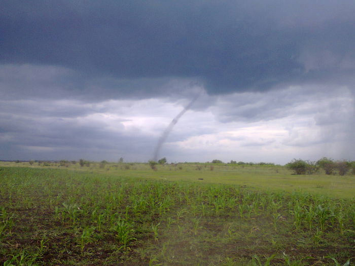 Fotografie0180 - tornada de la buzau