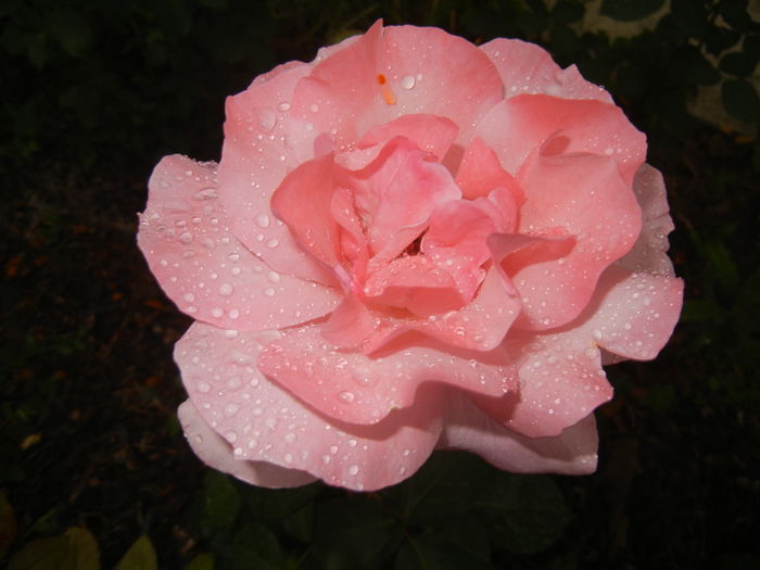 2015, May 25