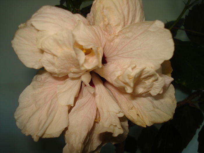 DSC02128
