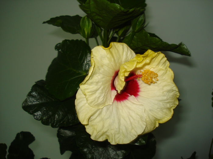 DSC02138