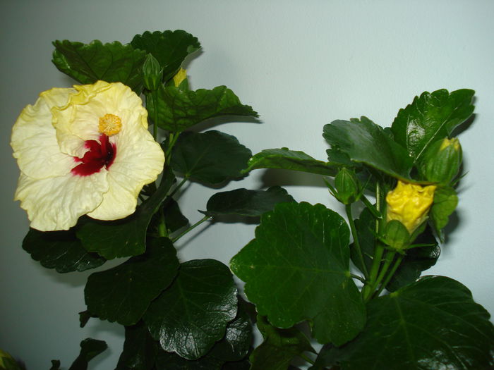DSC02141