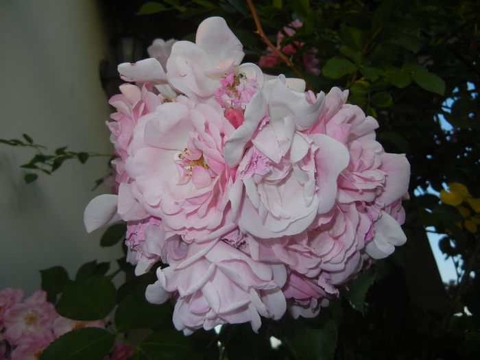2015, June 02