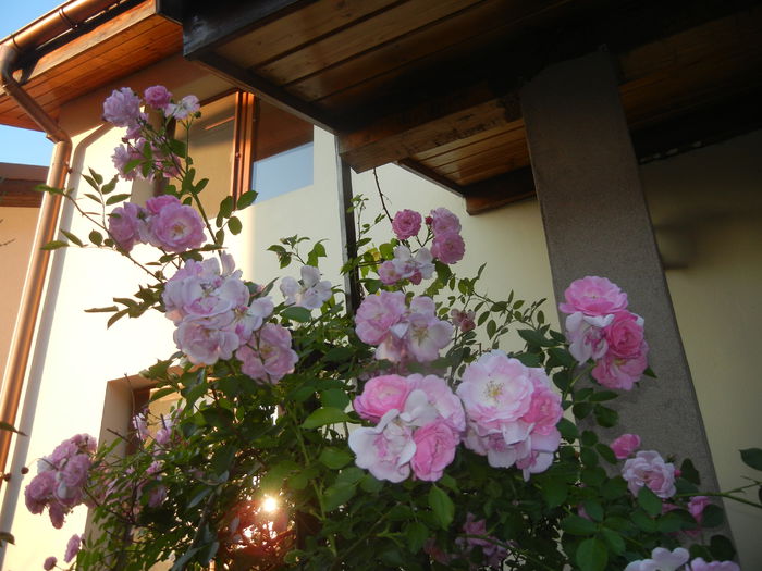 2015, June 02