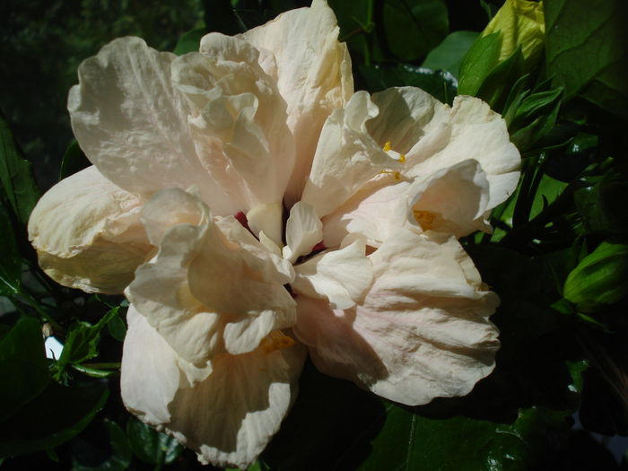 DSC02149