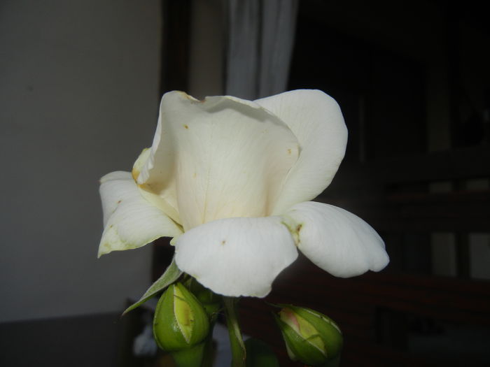 2015, June 02