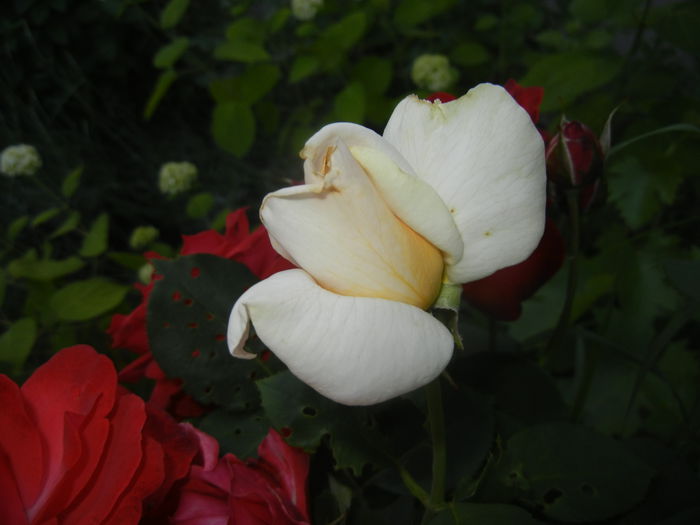 2015, June 02