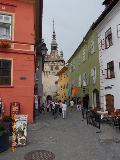 DSCN3035