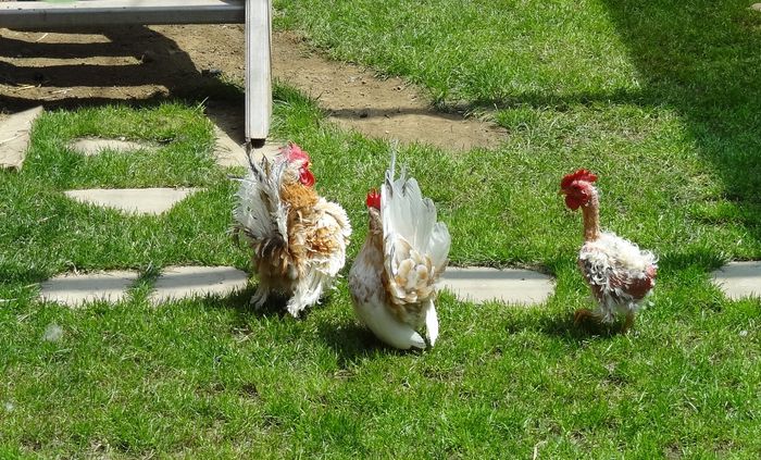 Screenshot - 6_25_2015 , 13_22_47