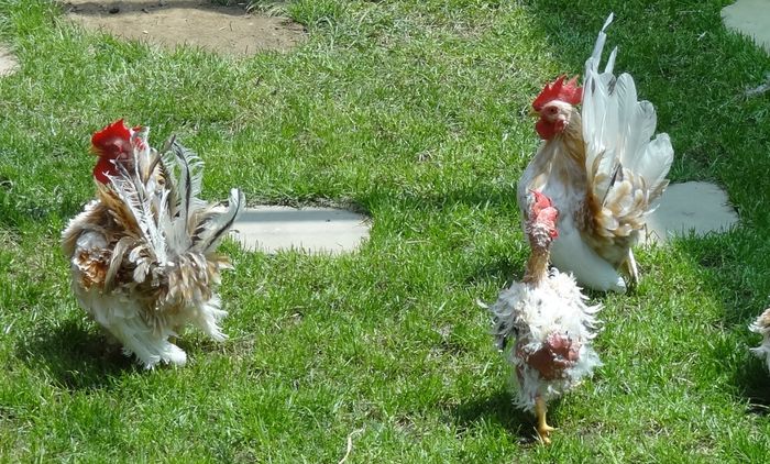 Screenshot - 6_25_2015 , 13_24_45