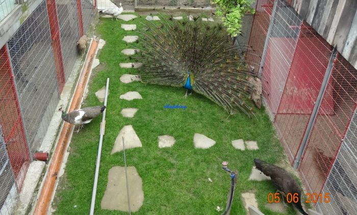 Screenshot - 6_6_2015 , 23_26_26 - D--PAUNI MIX