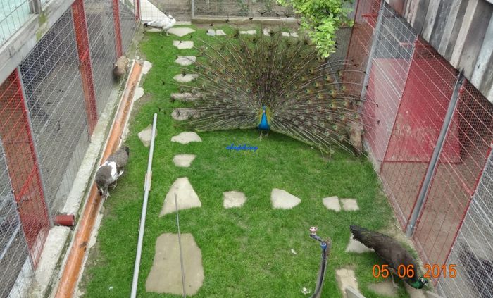 Screenshot - 6_6_2015 , 23_27_13 - D--PAUNI MIX