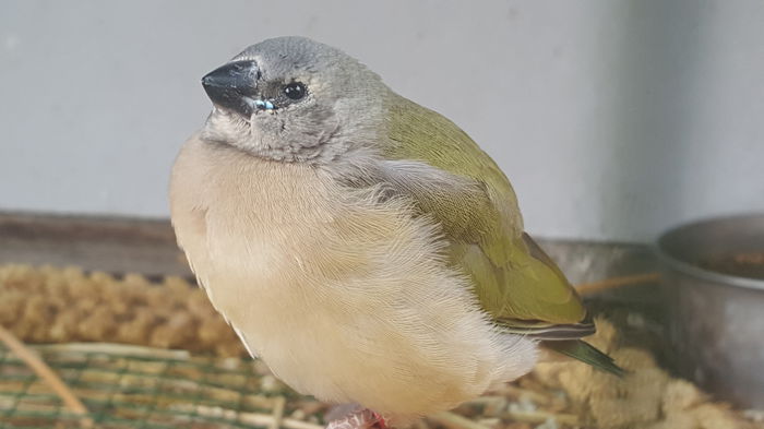 20150625_191808 - 001 Pui 2015