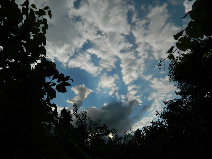 DSCN1536