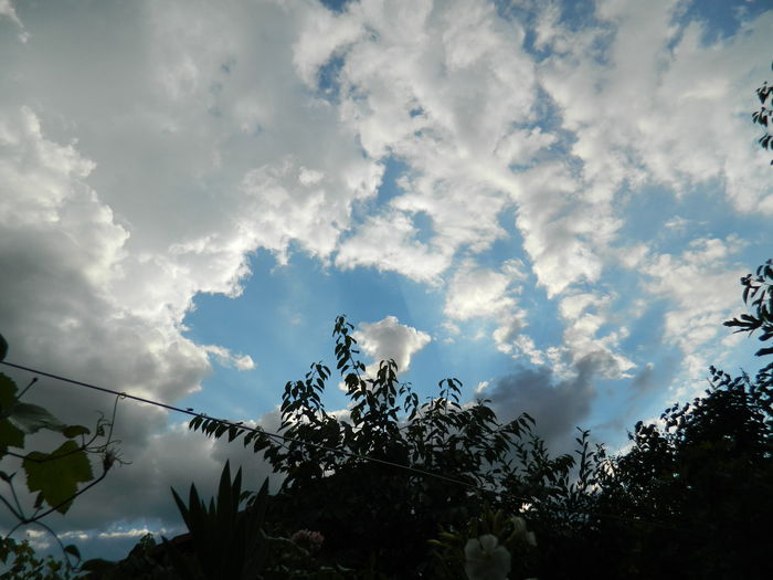 DSCN1537