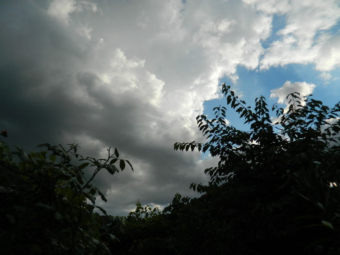 DSCN1540