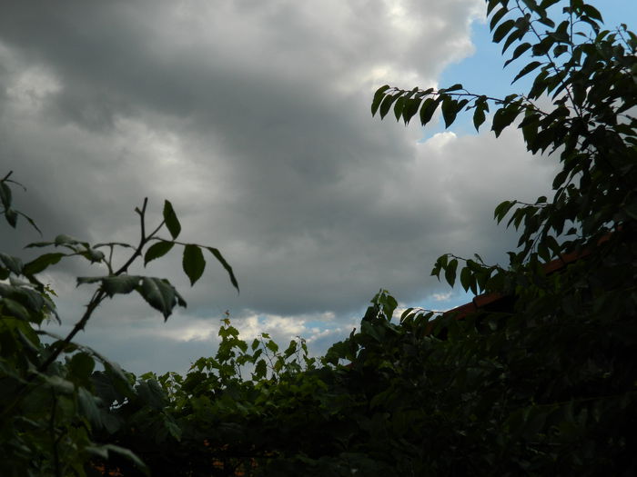 DSCN1545