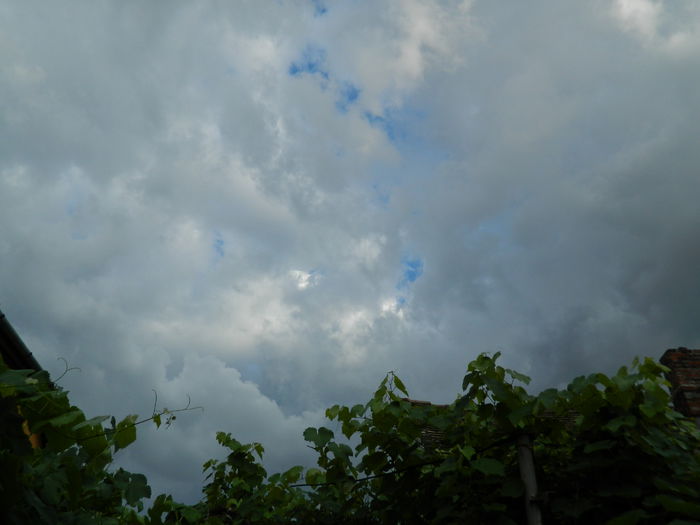 DSCN1549