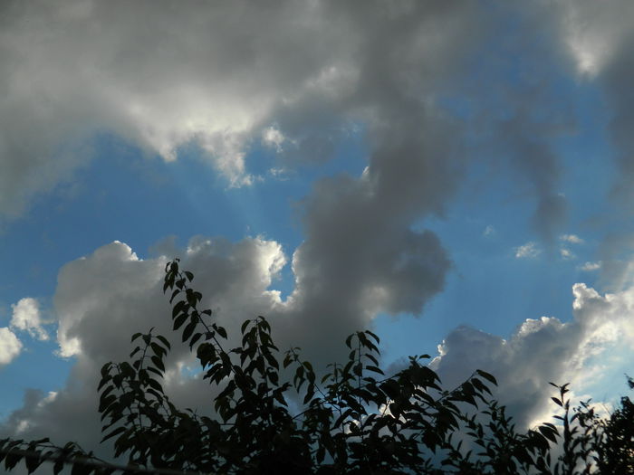 DSCN1566